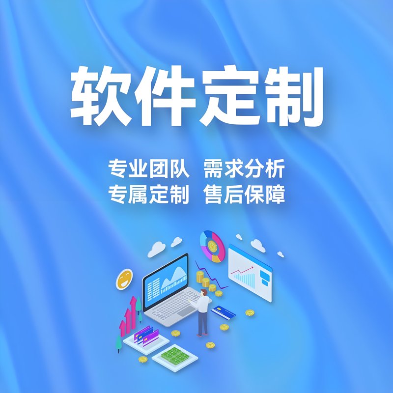 定制开发软件,让企业运营更高效